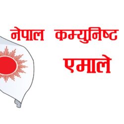 एमाले चितवनको अध्यक्षमा पाठक